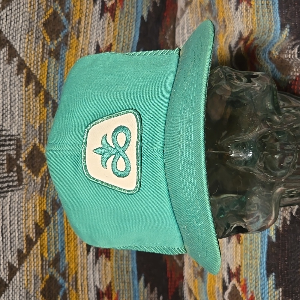 VTG Pioneer Seeds Canvas/Mesh Green Trucker Hat.